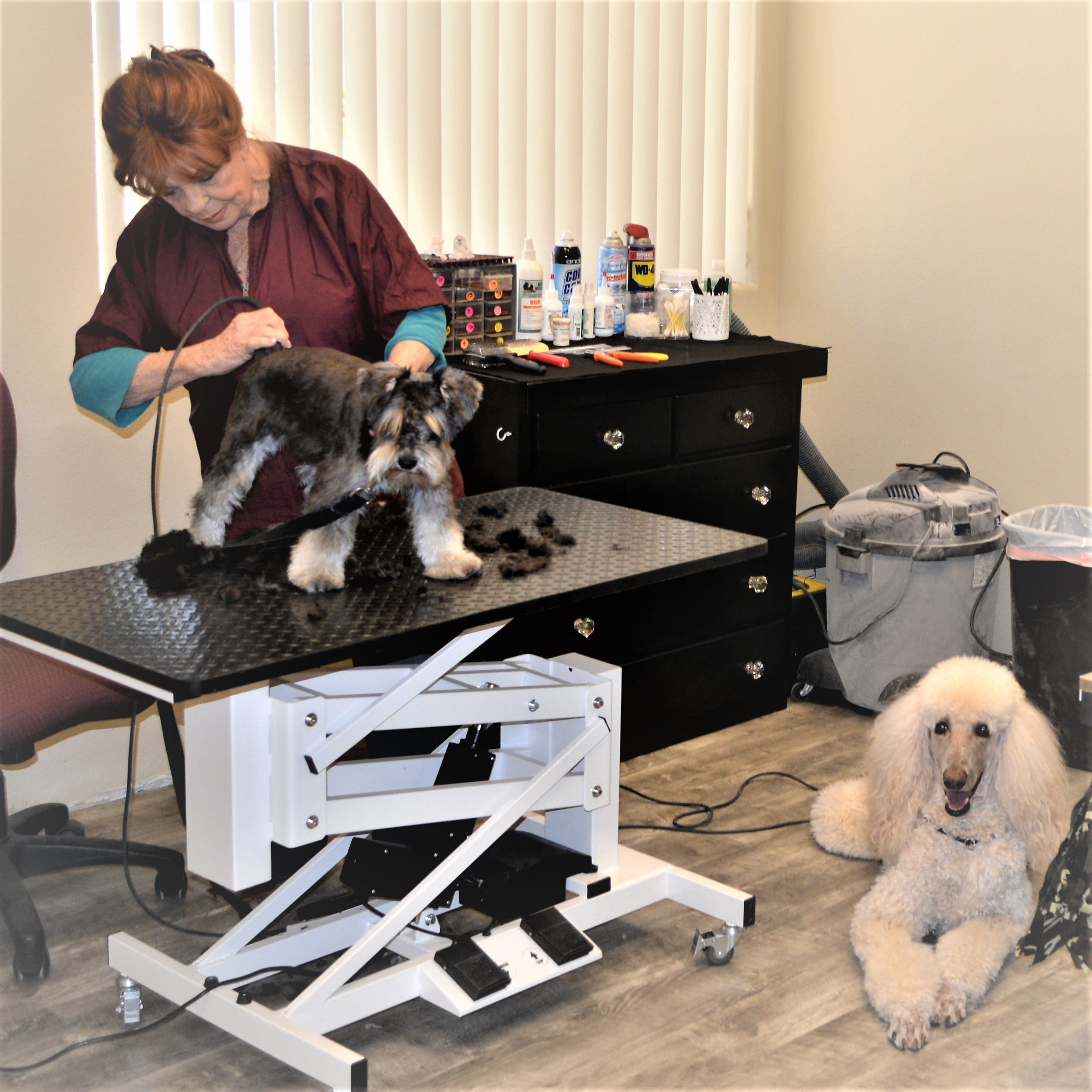 julie's mobile dog grooming